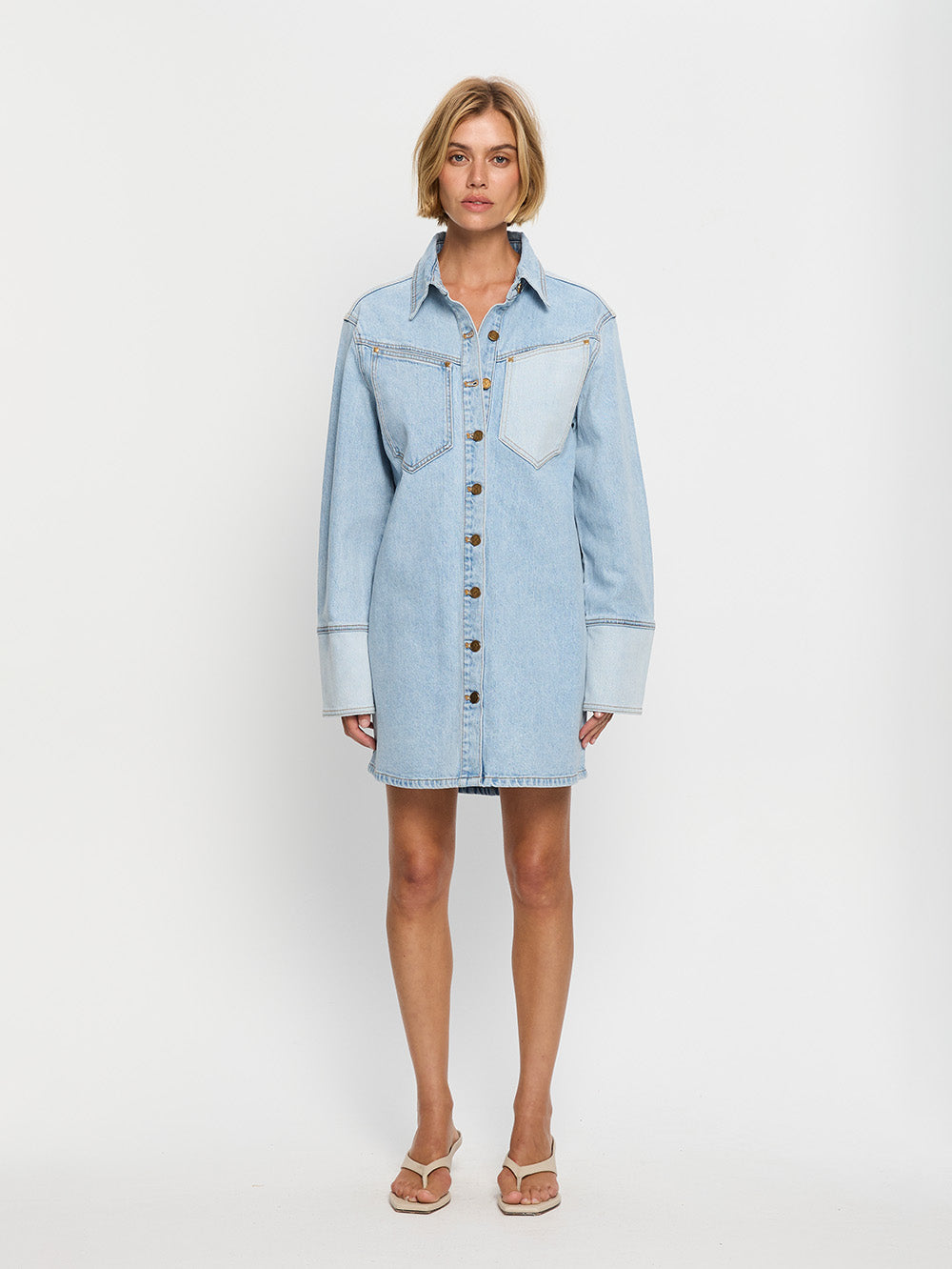 Carla Denim Mini Dress