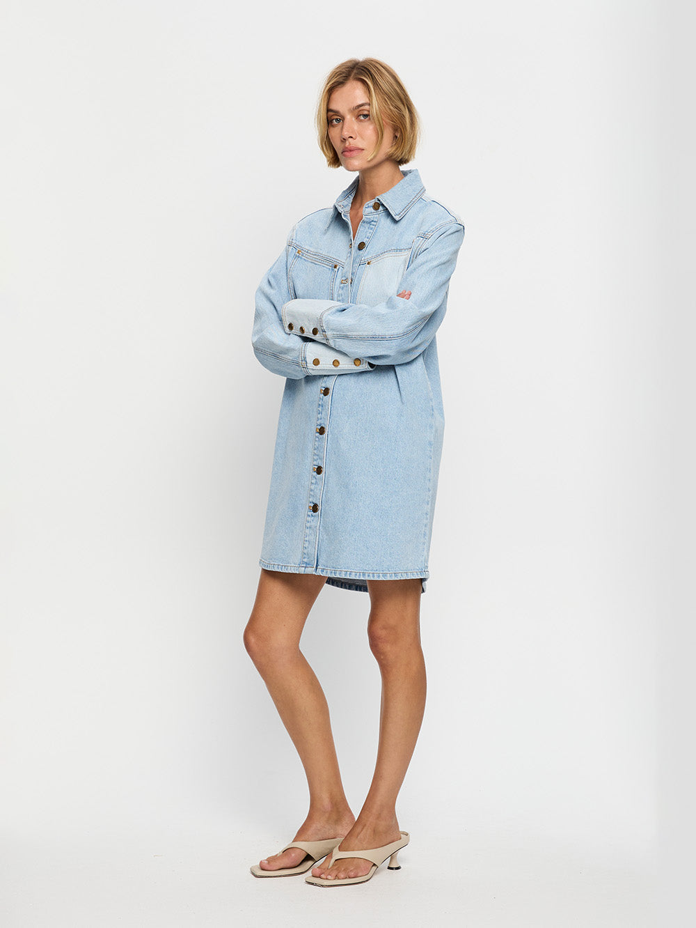 Carla Denim Mini Dress