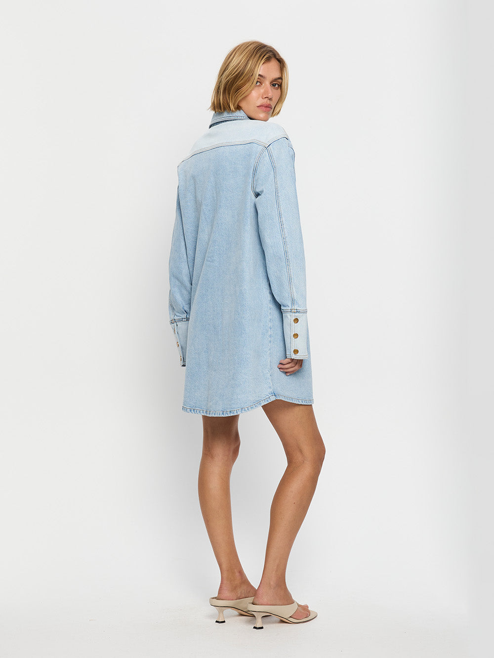 Carla Denim Mini Dress